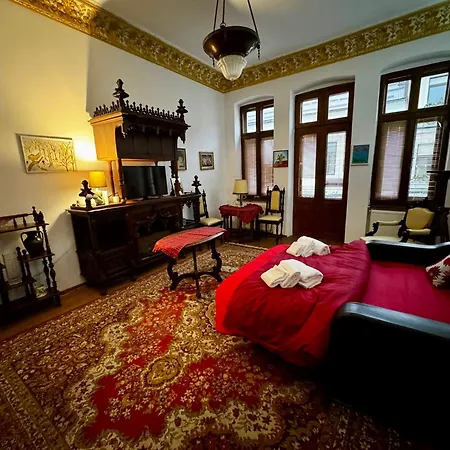 Casa Din Centrul Craiovei Apartment Craiova