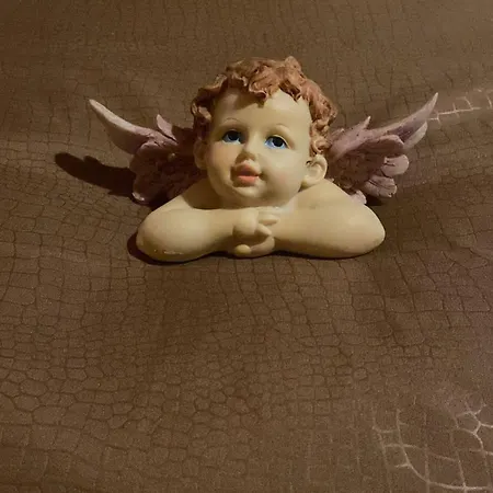 Casa Din Centrul Craiovei *