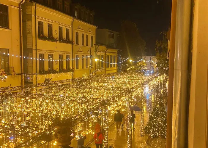Casa Din Centrul Craiovei Apartment Craiova